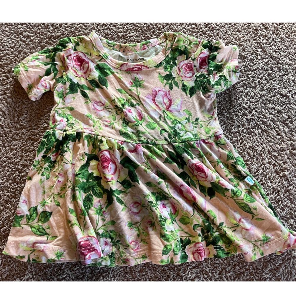 Posh Peanut Baby Girls Pink Rose Floral Bamboo Viscose Skater Dress 6-12 Months